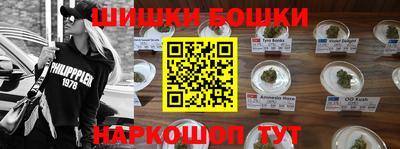 тгк Обь