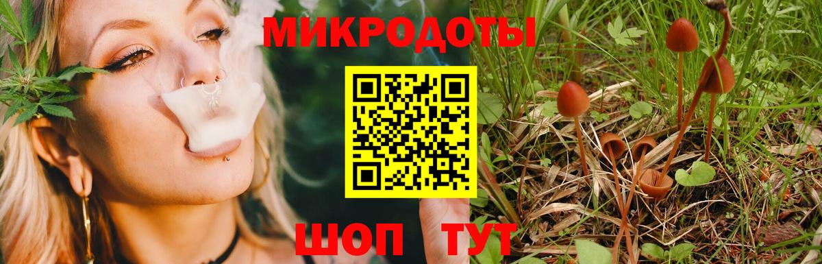 Алушта  магазин продажи   Вход с VPN  Псилоцибиновые грибы мухоморы  Галлюциногенные грибы Psilocybe 